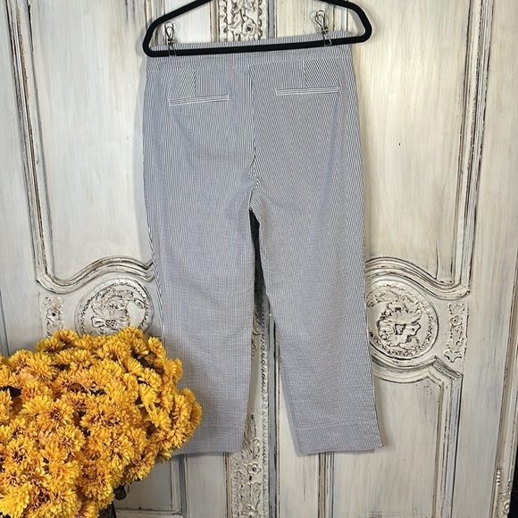 Hilary Ridley Seersucker Cotton Blend  Pull On Pants Classic Old Monet Coastal - Picture 5 of 8
